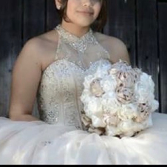 Champagne Color Dress - Picture 5 of 5